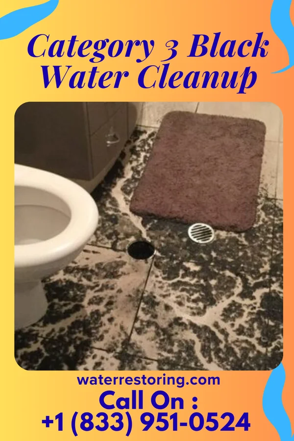 Category 3 Black Water Cleanup in Seaton, IL