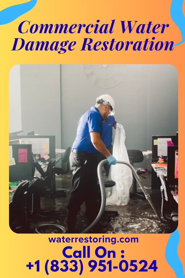 Commercial Water Damage Restoration in Seaton, IL