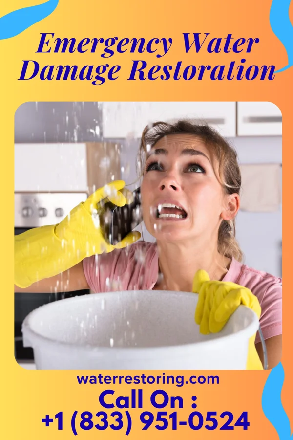 Emergency Water Damage Restoration in Seaton, IL
