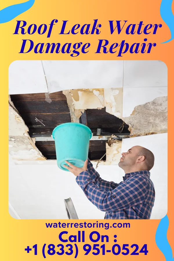 Roof Leak Water Damage Repair in Seaton, IL